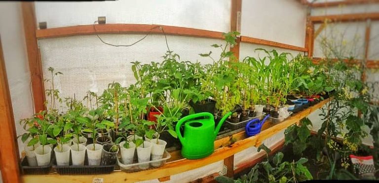 32+ inspirierend Foto Planung Garten / Die perfekte Gartenplanung für