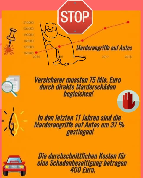 Infografik Marderschäden Statistik