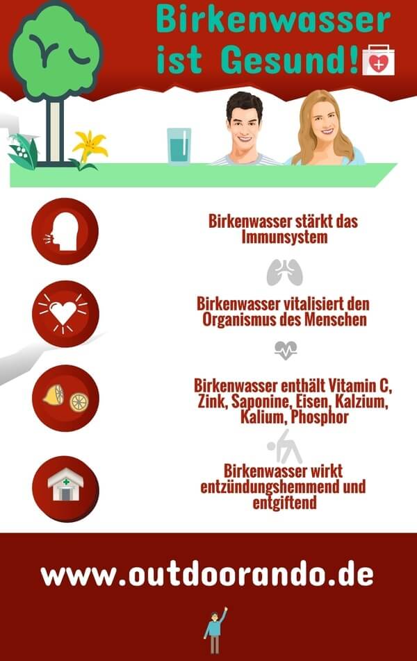 infografik-birkenwasser