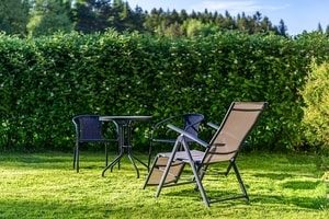 hecke-gegen-einbrecher-garten