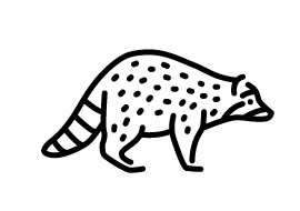 waschbär