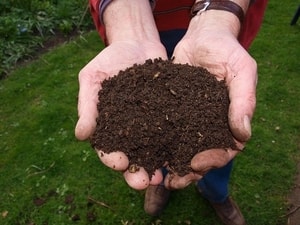 eine_hand_voller_kompost