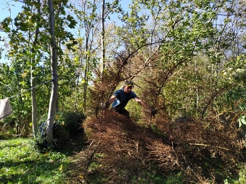 ich-faelle-einen-baum-im-selbstversorgergarten