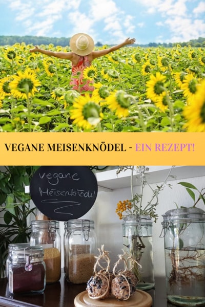 Vegane-meisenknoedel-rezept-grafik