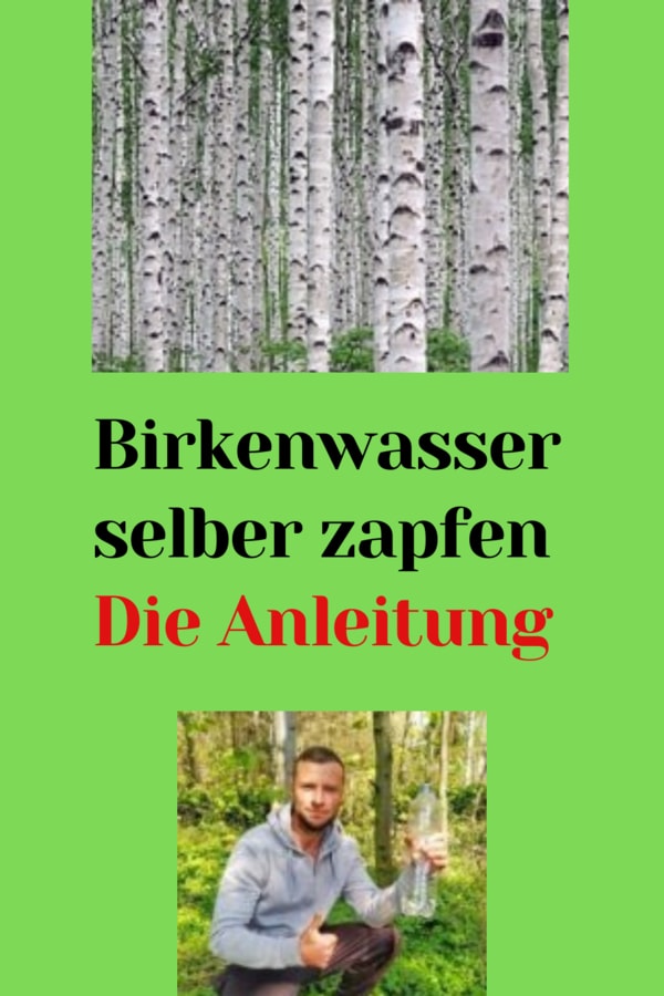 birkenwasser-zapfen-anleitung-grafik