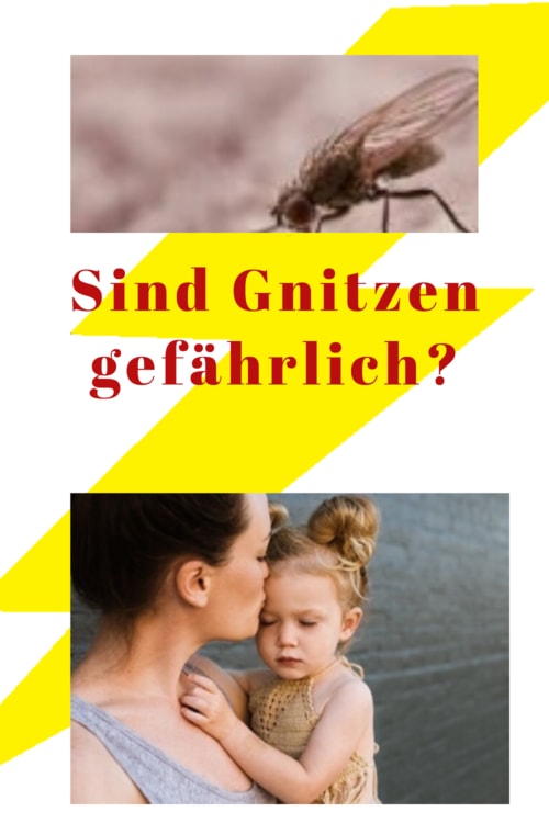 was-hilft-gegen-gnitzen