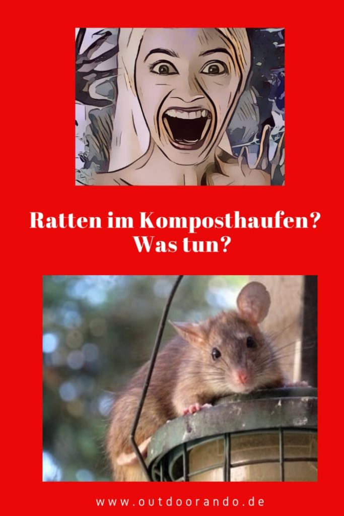 ratten-kompost-vertreiben