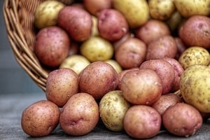 kartoffen-september-pflanzen-garten