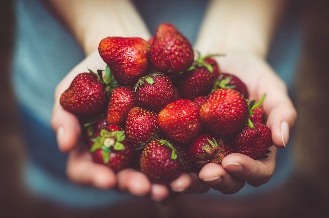 ameisen-machen-loecher-in-erdbeeren