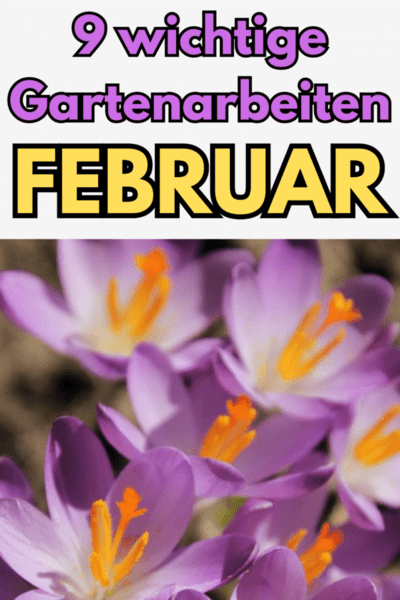 was_kann_man_im_garten_im_februar_machen