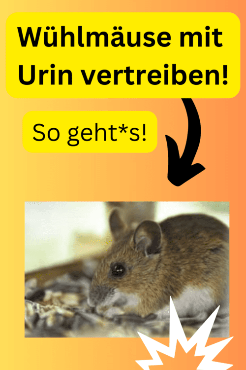 wuehlmauese_vertreiben_garten_urin