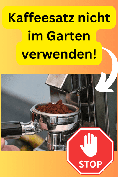 deshalb-ist-kaffeesatz-gefaehrlich-im-garten
