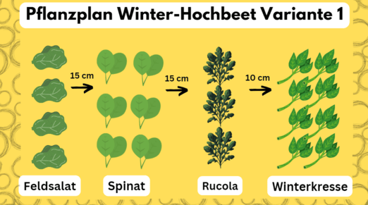pflanzplan-hochbeet-herbst-winter