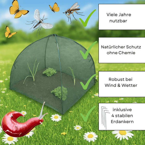 Die Pflanzenschutzhaube wehrt Schnecken und andere Schädlinge ab.