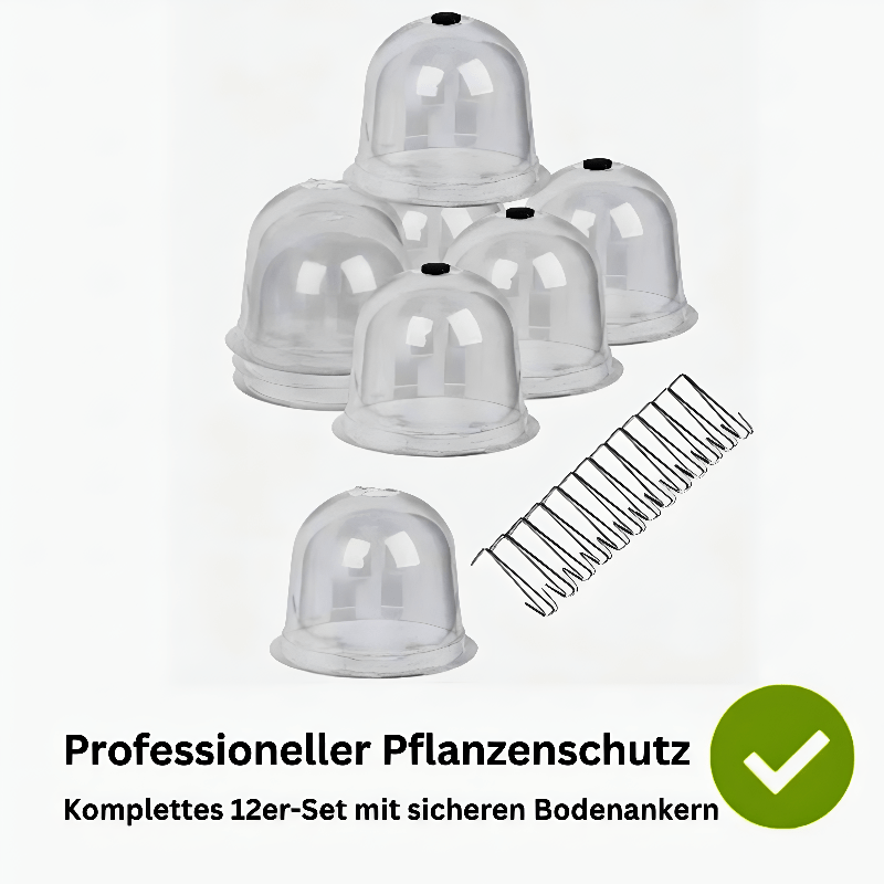 Inhalt 12 er Set Miss Lilly