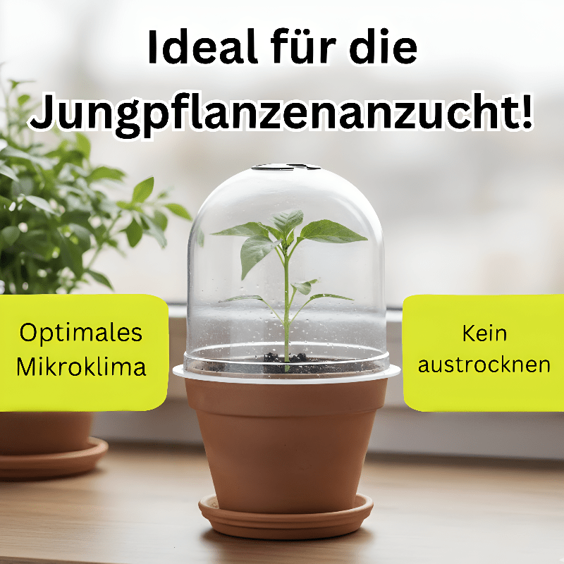 Ideal für die Jungpflanzenanzucht