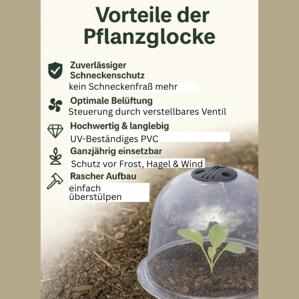 Vorteile der englischen Pflanzglocke Lilly