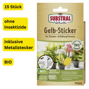 Bio-Gelbstecker von Substral zur Schädlingsbekämpfung an Zimmerpflanzen