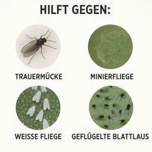 Dekorativer Gelbsticker im Einsatz gegen fliegende Pflanzenschädlinge