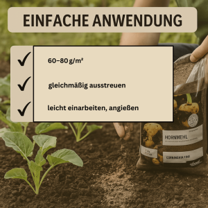 SEO-Bild mit Bezug auf Inhalt und Zielgruppenpflanzen