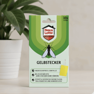 Vorderseite Verpackung Nexa Lotte Gelbsticker