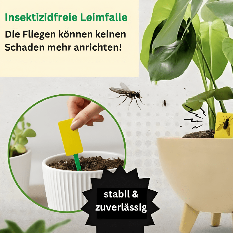 Schautafel Wirkungsweise Gelbstecker