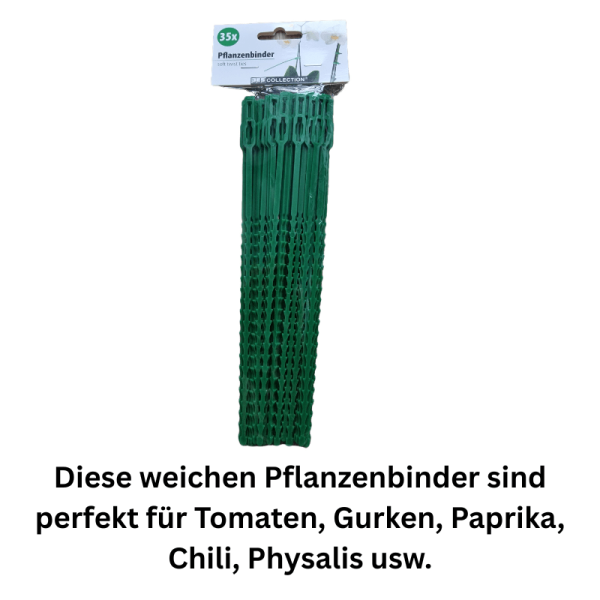 pflanzenbinder auf weißem Untergrund