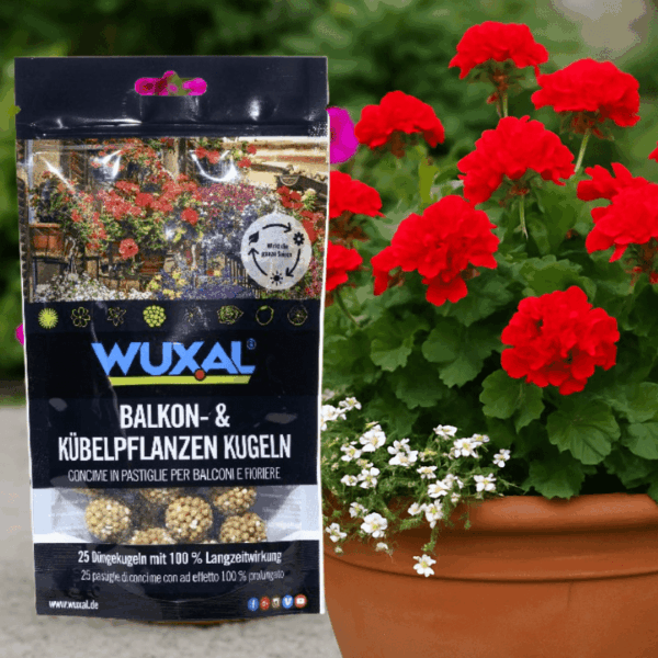 wuxal dünger mit kübelpflanze
