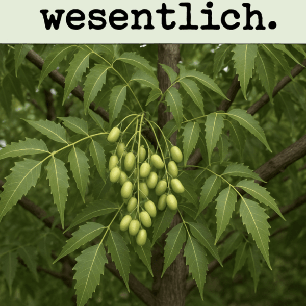 Neembaum