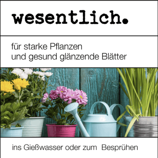 wesentlich neemöl in sprühflasche