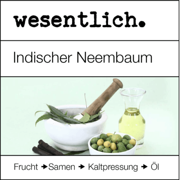 neembaum mit samen