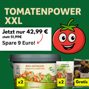 Tomatenpower Set XXL Geld psaren.