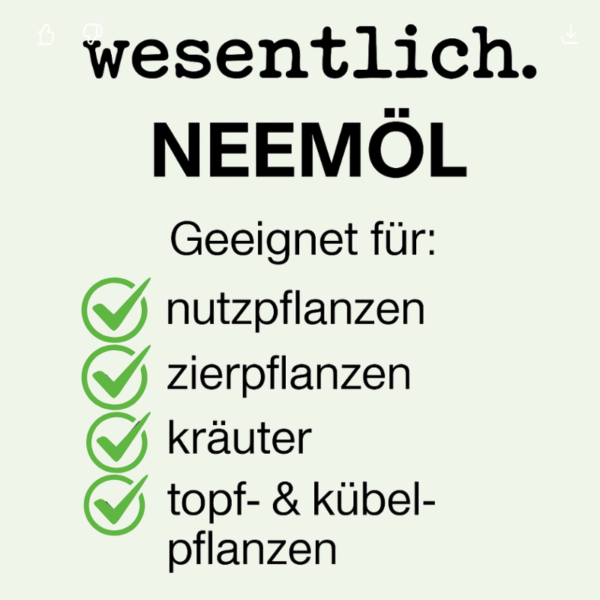 Pflanzenpflege Vorteilspack XXL – 2× Neemöl und 3× Düngestäbchen für kräftige Pflanzen I 12 Euro sparen! – Bild 2