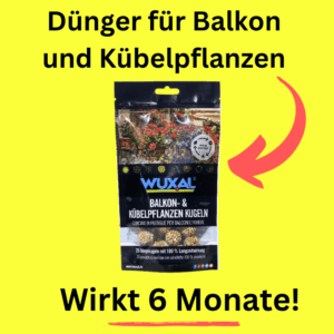 Wuxal Dünger Kübelpflanzen