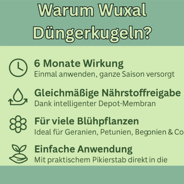 Wuxal Balkon- & Kübelpflanzen Kugeln (25 Stück) – Bis zu 6 Monate Langzeitdünger für Topf & Balkon 🌸 – Bild 2
