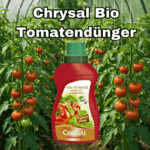 Tomatenduenger im Gewaechshaus