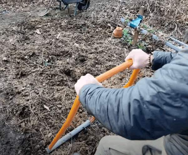 draufsicht broadfork