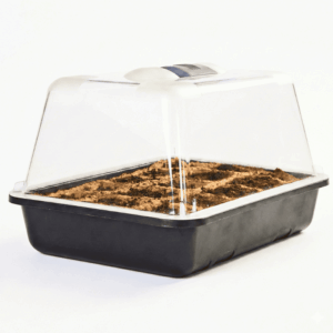 Anzuchtschale seitenansicht