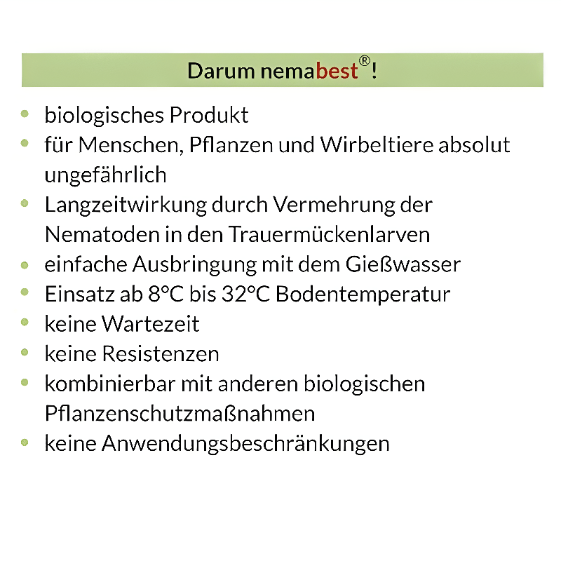 Welche bedingungen brauchen nematoden