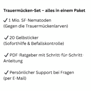 Was ist alles im Set als Bulletpoints