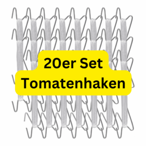 Tomatenpflanze wird mit Tomatenhaken an der Schnur im Gewächshaus hochgeleitet