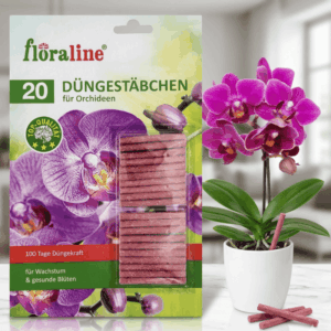 Produktfoto der floraline Orchideen-Düngestäbchen (20 Stück) neben einer blühenden Orchidee auf einem Marmortisch; Fokus auf die 100 Tage Depotwirkung für gesundes Wachstum.